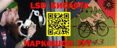 сатива Гагарин