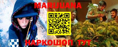 сатива Гагарин