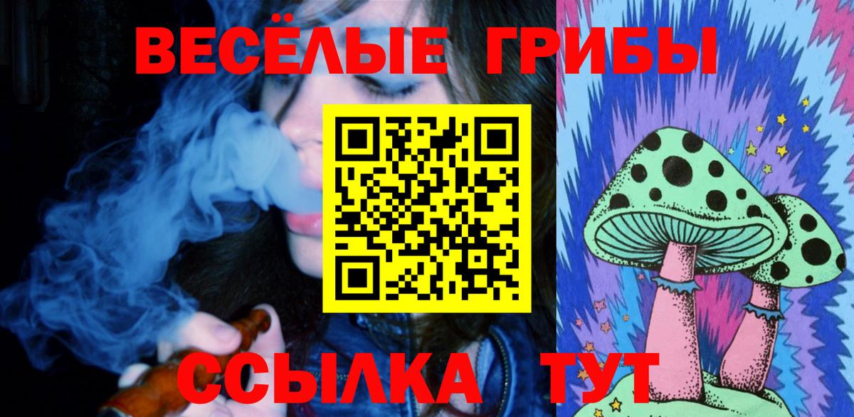Галлюциногенные грибы Magic Shrooms Звенигород