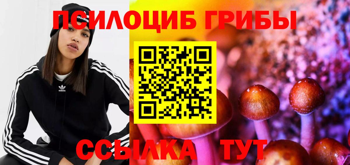 Галлюциногенные грибы MAGIC MUSHROOMS  продажа наркотиков  Звенигород  Псилоцибиновые грибы Cubensis  Вход с VPN 